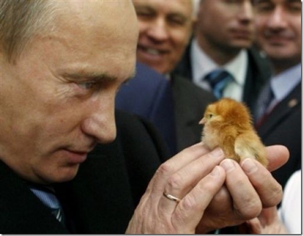 Vladimir Putin e o seu amor pelos animais (19)