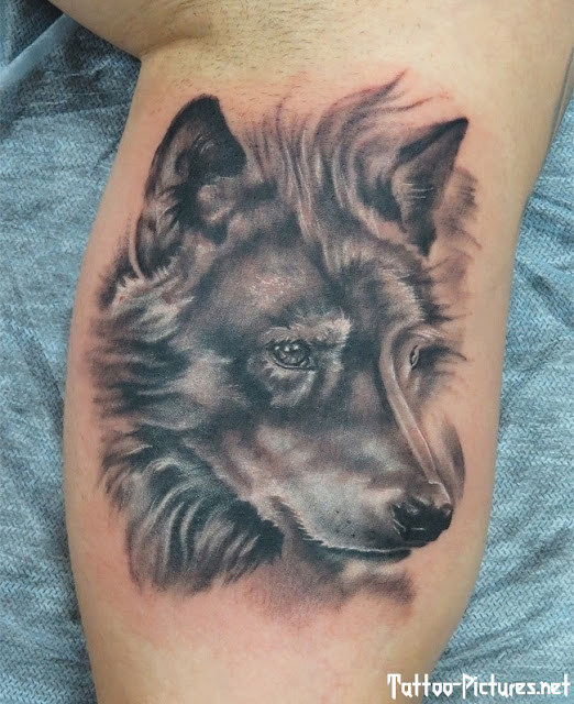 Wolf Tattoos