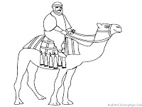 Crossing The Desert By Riding Camel