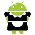 SD Maid Pro