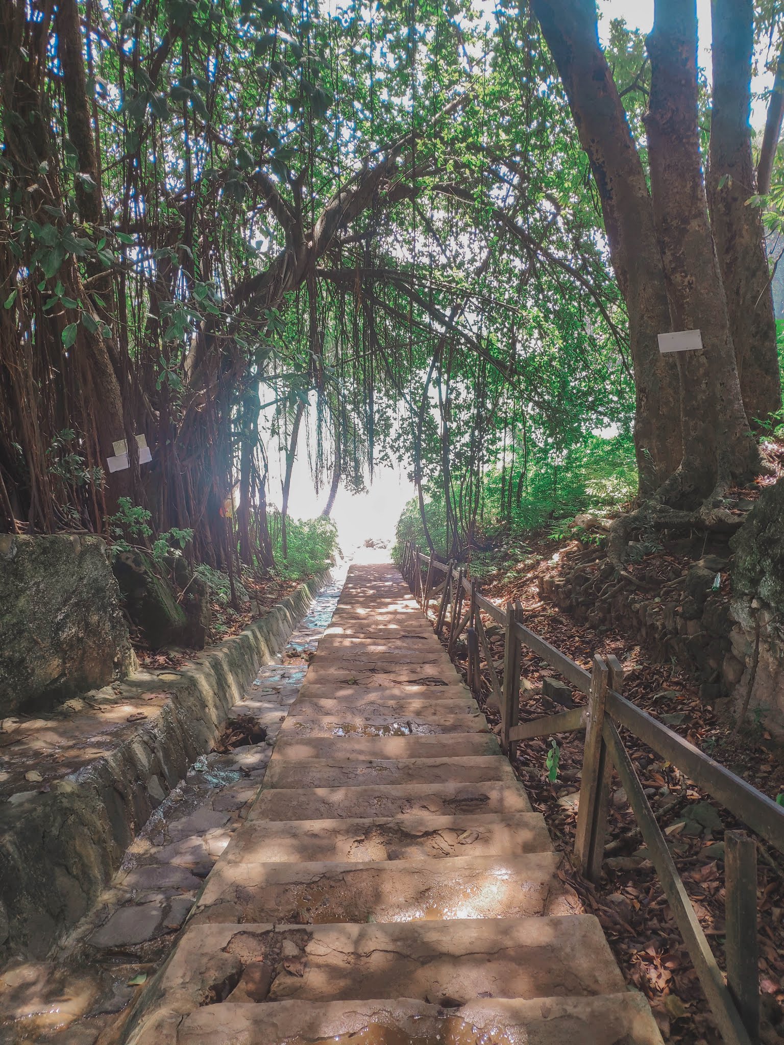 Praia do Cachorro access