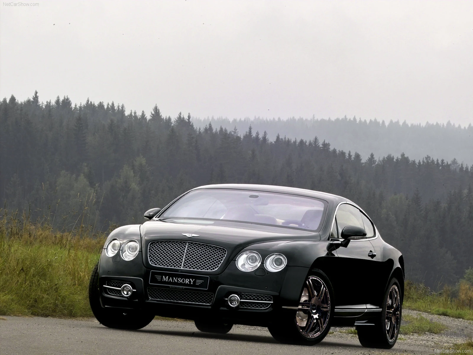 Hình ảnh siêu xe Mansory Bentley Continental GT 2005 & nội ngoại thất