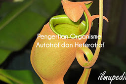 Pengertian Organisme Autotrof dan Heterotrof