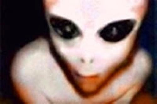 Monitoring The Activity Of Ufo