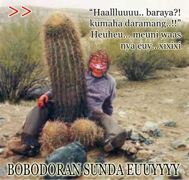 KUMPULAN GAMBAR LUCU CEPOT ASTRAJINGGA  BOBODORAN SUNDA 