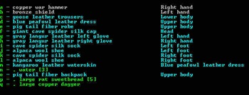 dwarf-fortress-adventurer_7