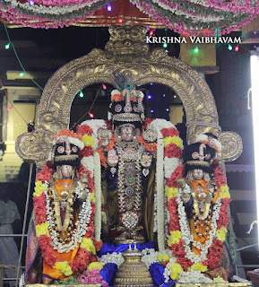 Narasimhar Perumal, Azhagiya Singar, Theliyasingar Maasi , Purappadu,  Trplicane,  Purappadu, Thiruvallikeni, Utsavam, 