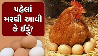 Chicken or egg