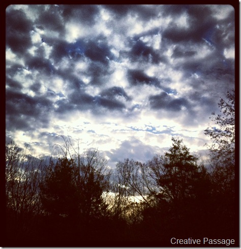 photo (9)