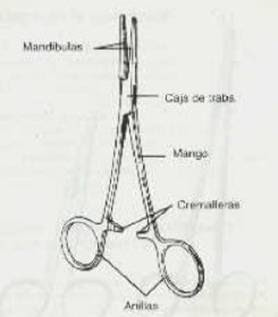 Partes de una pinza