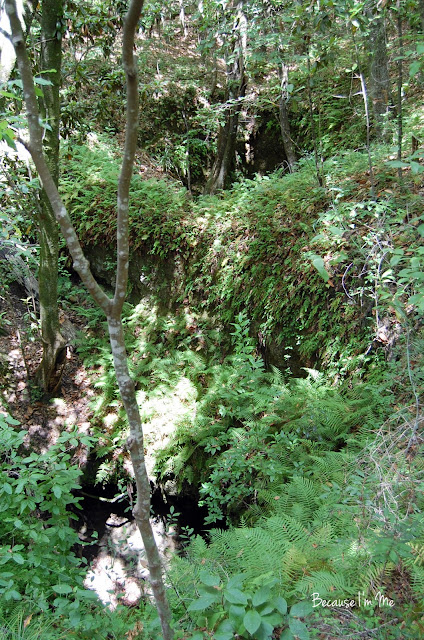 Falling Waters State Park, Florida