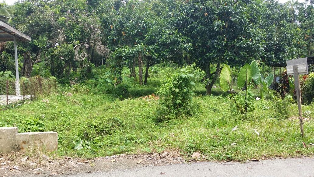 Tanah Lot Banglo Murah di Kuala Krai Untuk Dijual ~ Tanah ...