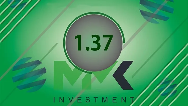 Отчет от MMK Investment