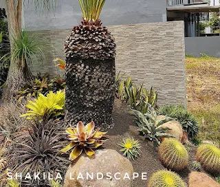 Tukang tama ngawi