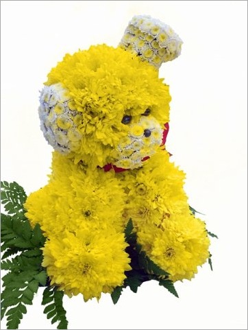 flowers22