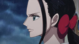 ワンピース アニメ 978話 ニコ・ロビン Nico Robin ONE PIECE Episode 978