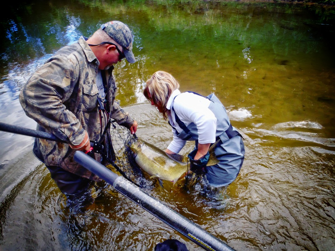 Why Fly Fishers Wear Waders When They Don't Seem Necessary - 2 Guys and A  River