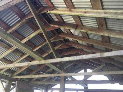 rafters of the milk shed