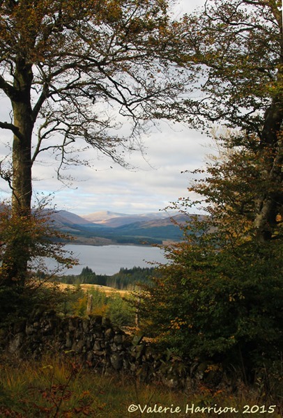9-Clatteringshaws