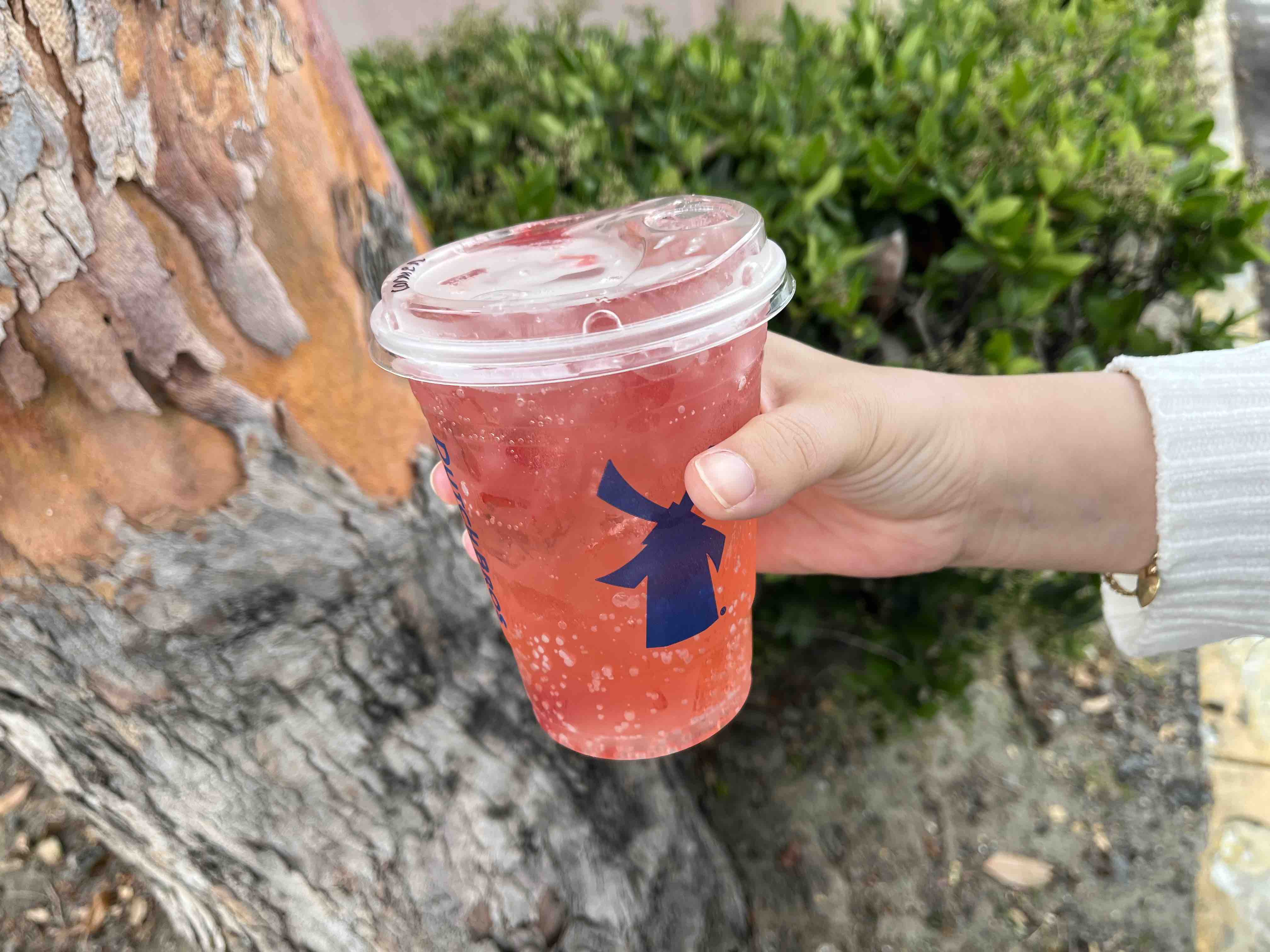 New Churro Freeze and Watermelon Fizz Seasonal Drinks from Dutch Bros