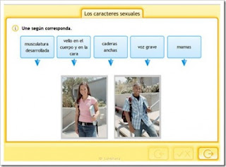 http://www.juntadeandalucia.es/averroes/centros-tic/41009470/helvia/aula/archivos/repositorio/0/194/html/recursos/la/U04/pages/recursos/143315_P48/es_carcasa.html