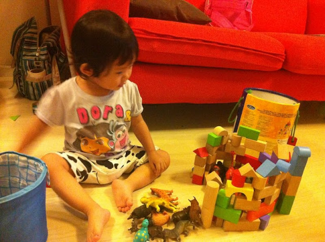 Build a zoo using building blocks