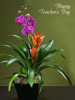 ảnh động cho điện thoại
