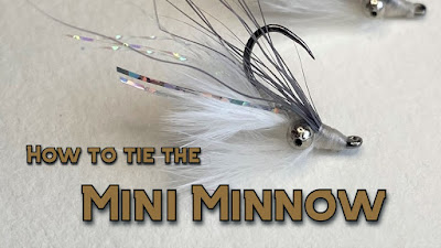 Mini Minnow, Fly Tying, Texas Freshwater Fly Fishing, TFFF, Texas Fly Fishing, Fly Fishing Texas, Texas Fly Tying, Minnow Pattern Fly, Minnow Fly, Bass Fly, Sunfish Fly, Bluegill Fly, Pat Kellner