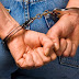 Συνελήφθησαν τρία άτομα για κλοπή καυσόξυλων στα Γιαννιτσά και ένας 27χρονος για κλοπή στο Αναψυκτήριο Μελισσίου