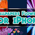 Wallpapers Flowers for iPhone p4