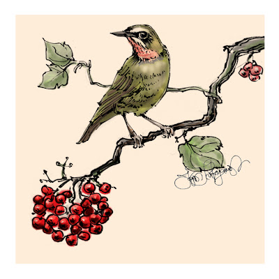 rufous-breasted bush-robin, bird on a branch