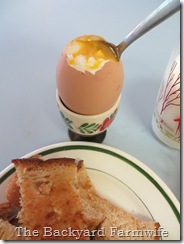 soft boiled eggs - The Backyard Farmwife