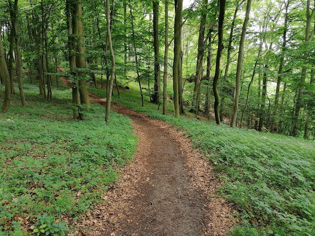 Sauerland wandern Wetter blog Brilon Quellenweg Alme