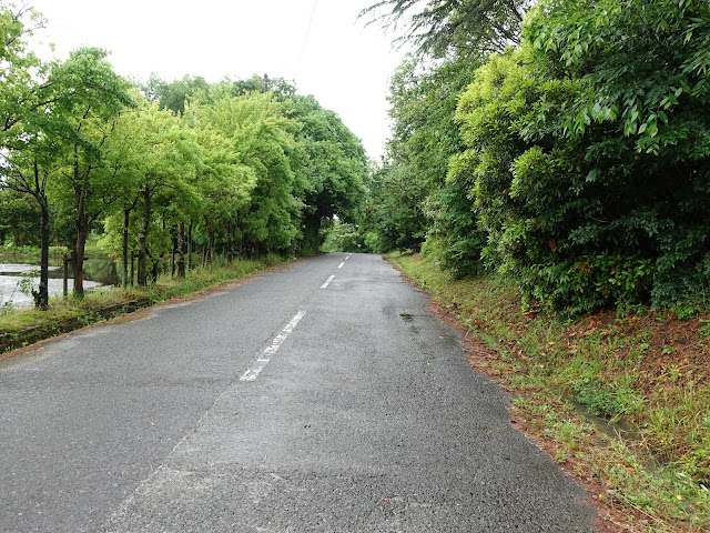 鳥取県米子市尾高　尾高城跡公園　連絡道路