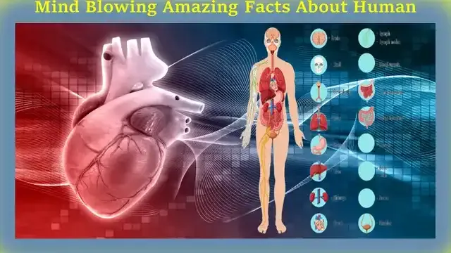 Mind Blowing amazing Facts About Human Body