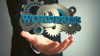 WordPress contain delivery netword