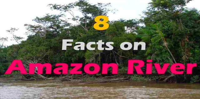 Which is the longest river in South America?