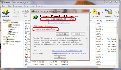 Internet Download Manager 6.12 Build 23 Screenshot