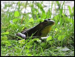 IMG_2522