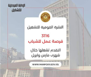 "القوى العاملة": 41 شركة خاصة تعلن عن 3116 فرصة عمل في 11 محافظة.. منها لذوي همم