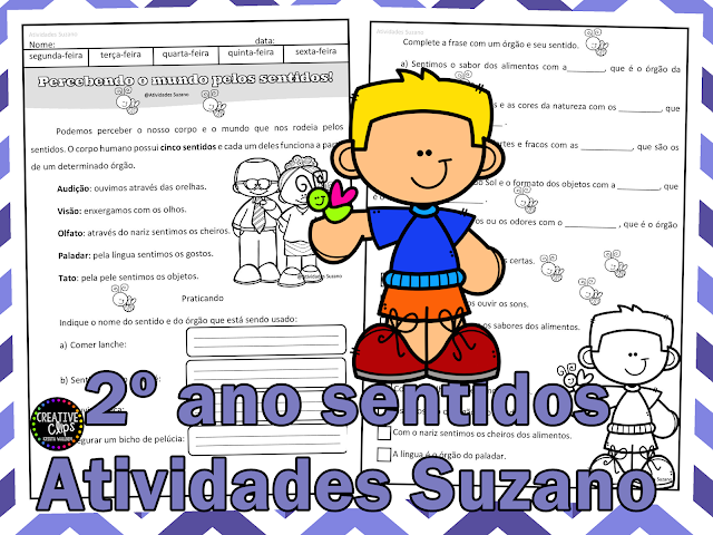 Os sentidos 2º ano em PDF