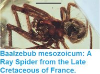 http://sciencythoughts.blogspot.co.uk/2015/12/baalzebub-mesozoicum-ray-spider-from.html