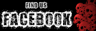 https://www.facebook.com/Disgrace-and-Terror-168353629878168/