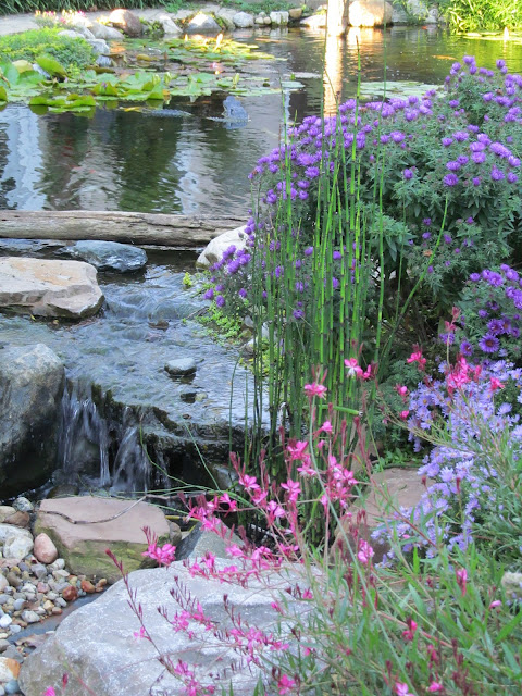 landscaping around pond