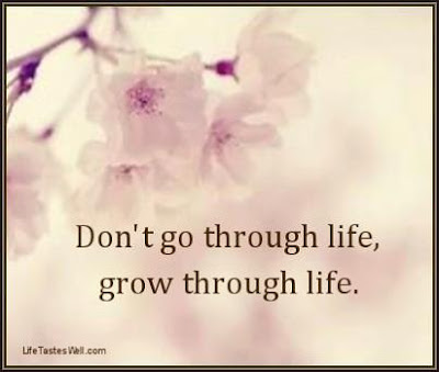 Quotes - Don't go thought life, grow through life
