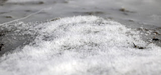 Frost sparkles and sends spikes pointing upwards