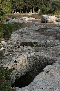 The graves of the Maccabees 