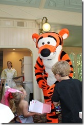 DISNEY 316
