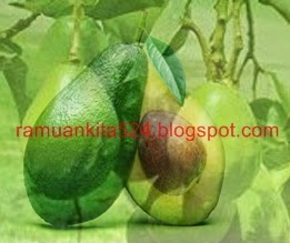 4 Resep Jus Buah Alpukat Untuk Kesehatan