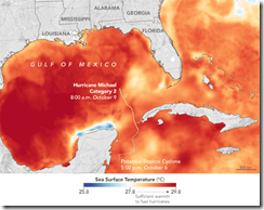 HURRICANE MICHAEL IX